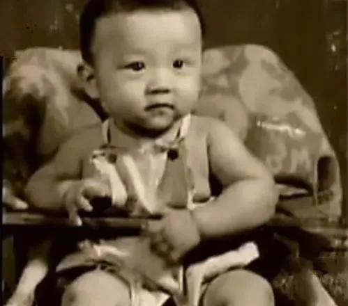 抛弃“最美琼女郎”，被陈道明提携，离婚9年又翻红：好狠一男的