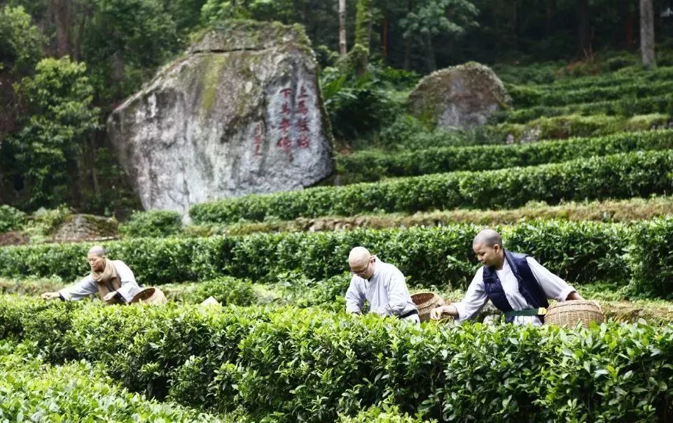 看完，会让你爱上桂平、感到自豪……