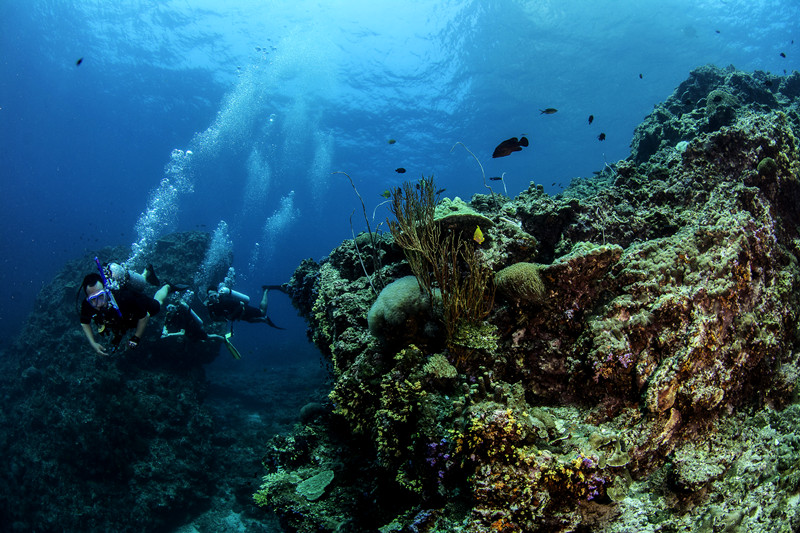 兰塔哈哈岛简介,泰国芭提雅兰岛潜水