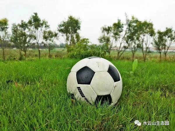 缇庝附涔℃潙鍏泭瓒崇悆,涔℃潙鍏泭瓒崇悆娲诲姩