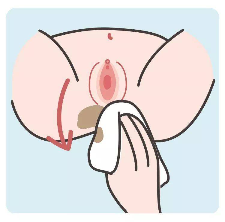 四个月女宝私护处护理,6个月女宝私部护理