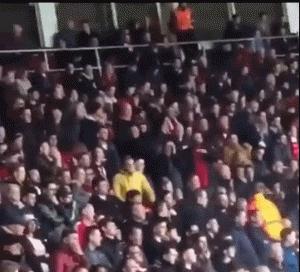 鑻辫秴鐞冭糠鎸戣,鑴戞畫鐞冭糠