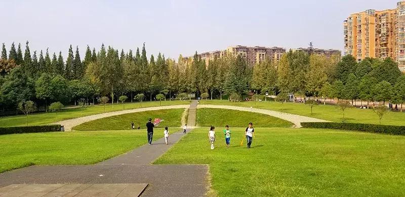 双流区城市森林公园,你生活的城市什么样