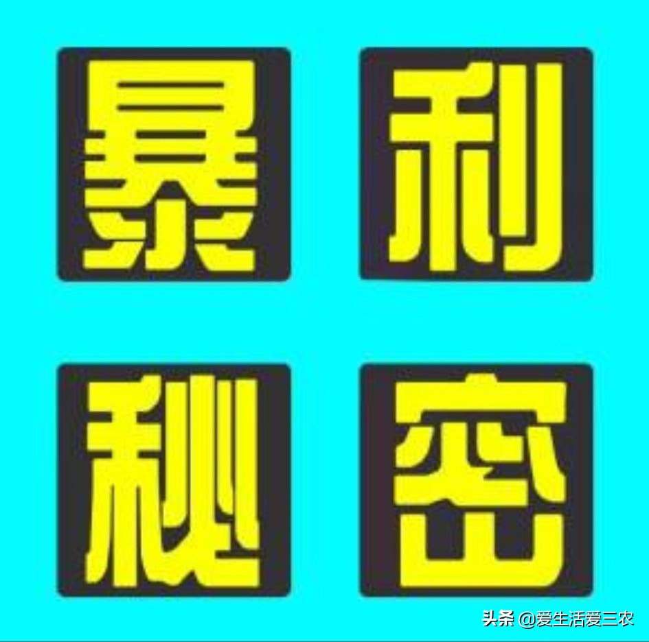 农村小型加工厂做什么生意好,在农村开一个小型面粉加工厂利润