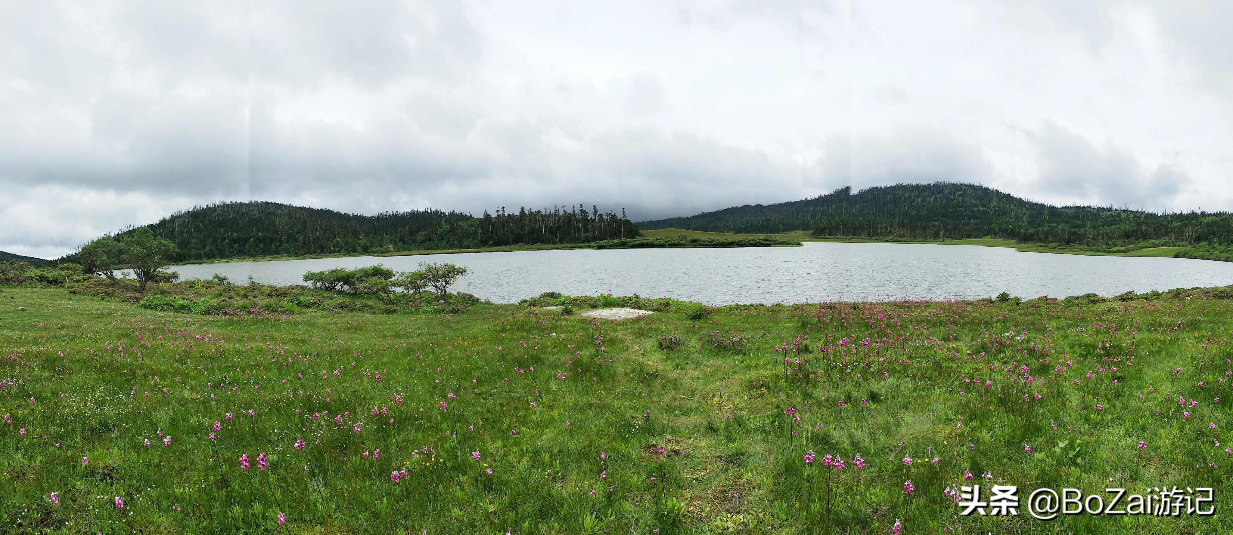 云南迪庆有哪些旅游景点,迪庆最值得去的景点有哪些地方