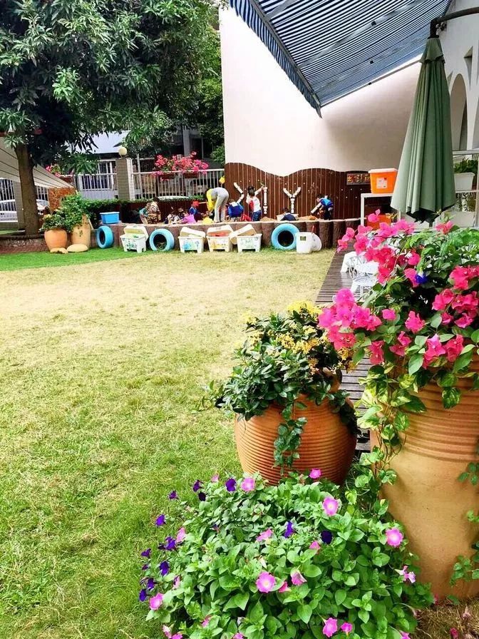 罗湖区教育资源怎么样,深圳罗湖区教育资源