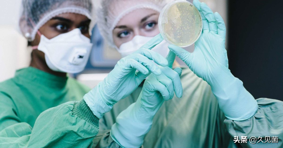 寄生虫灭绝了对生态有影响吗,寄生虫离开人体多久会死亡