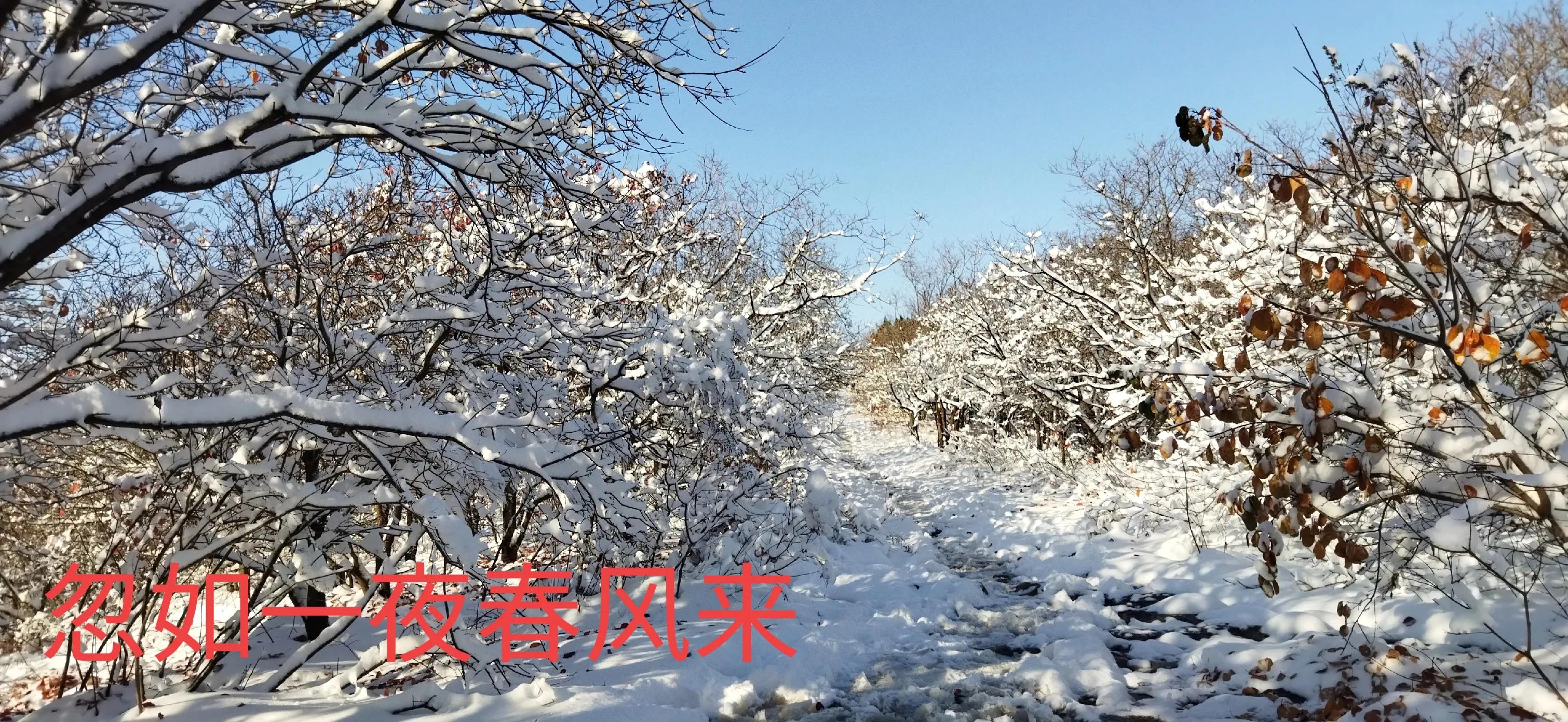 济南的冬天朗读完整版,济南的冬天是个美丽的地方改病句