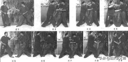 形意拳鼍形,武术象形拳之鸭子拳