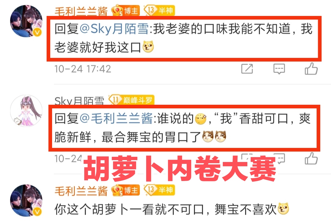 小舞的隐藏照片,小舞的小秘密在哪