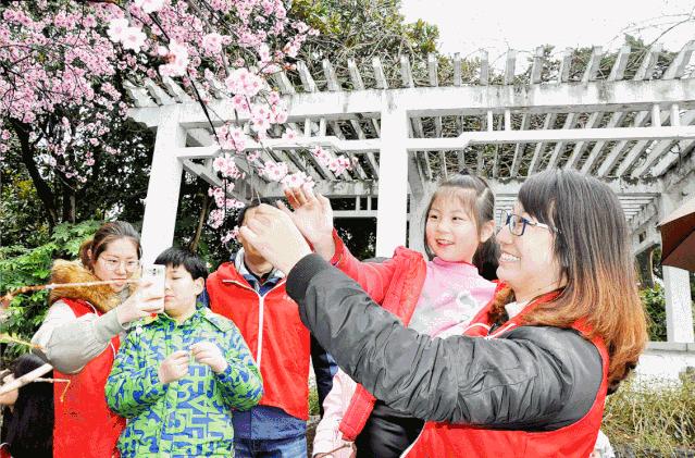 解锁乡村“幸福密码”,解锁幸福生活的密码