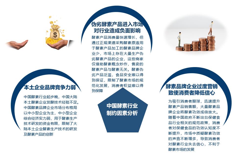 酵素的十大神奇功效,酵素作用全面解答看完赶快喝酵素