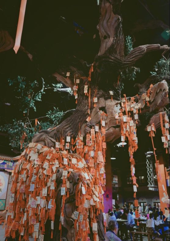 丹东沿海干净小岛旅游攻略,丹东旅游特色美食攻略图