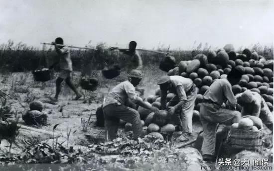 伟大的新疆,伟大的阿勒泰