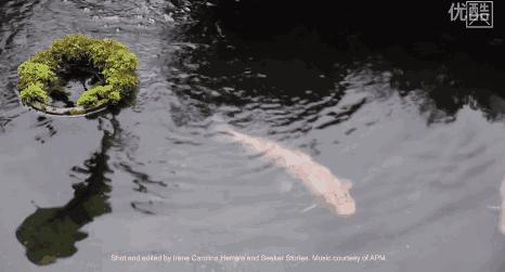我们调侃“你是什么垃圾”时，日本这个小镇已经零垃圾生活15年了