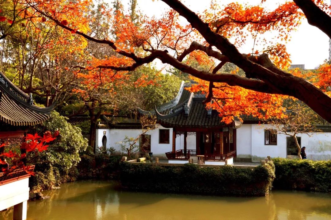 青浦曲水园最好玩的地方,青浦游玩好评排行榜