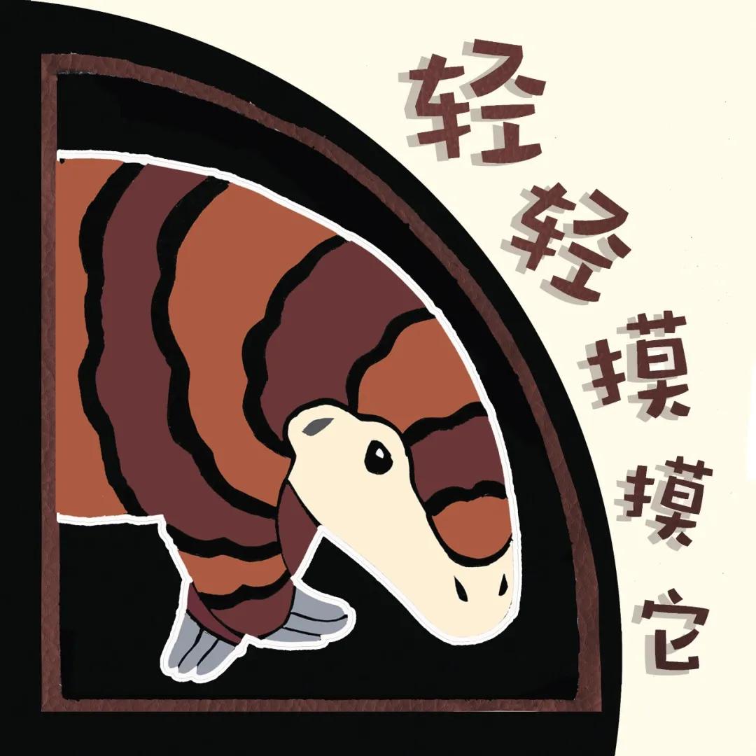 中国原创绘本精品巡展,东方娃娃原创绘本奖公众号