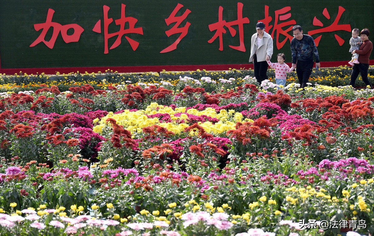 农民专业合作社法问题,农民专业合作社退社怎么办