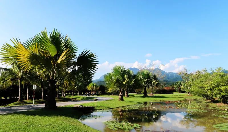 中老昆万铁路即将通车,中老昆万铁路隧道全线贯通