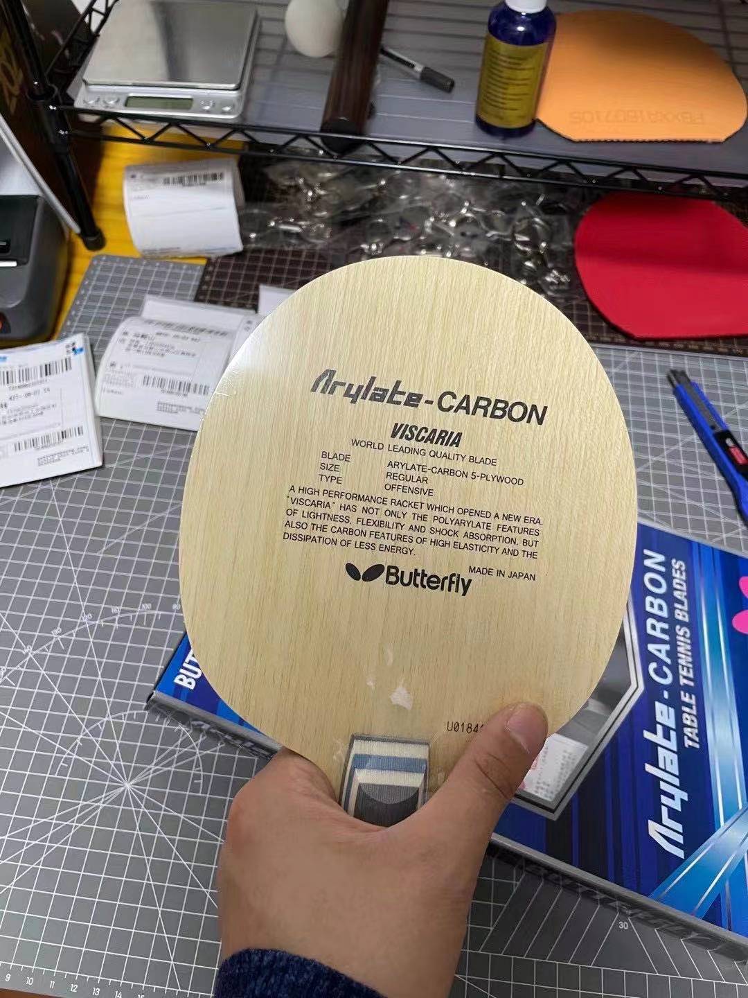 与蝴蝶维斯卡利亚最接近的底板,蝴蝶维斯卡利亚底板是alc还是zlc