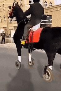 一周gif动图,一周gif图