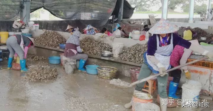 玛塔牡蛎钙哪种最好,玛塔牡蛎钙使用方法