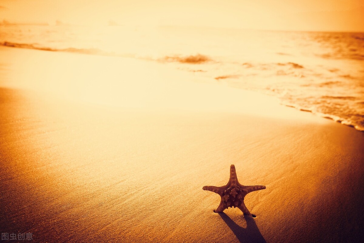 念念不忘必有回响毛笔字,念念不忘必有回响谁说的