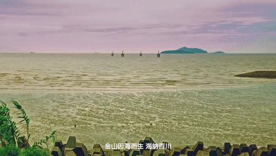 金山大金山岛开发,金山沙滩填海项目