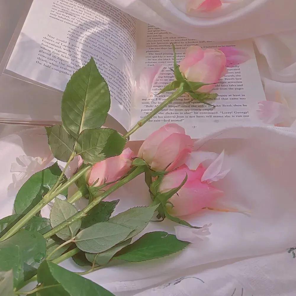 背景图简短有深意,针尖大的事针尖最伤人啥意思