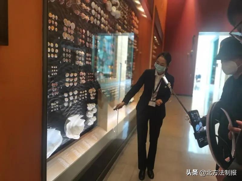 还有人从国外寄来20多只果蝠标本？海淘代购注意了，邮寄蜥蜴、盆景入境，可能会入刑！