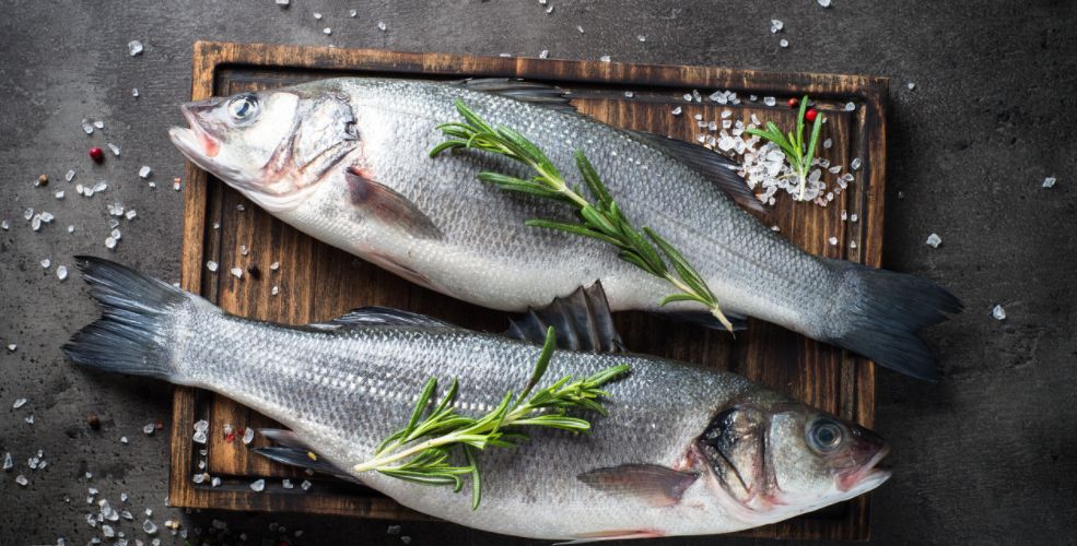 鱼儿食欲怎么样,鱼儿是怎么吃东西