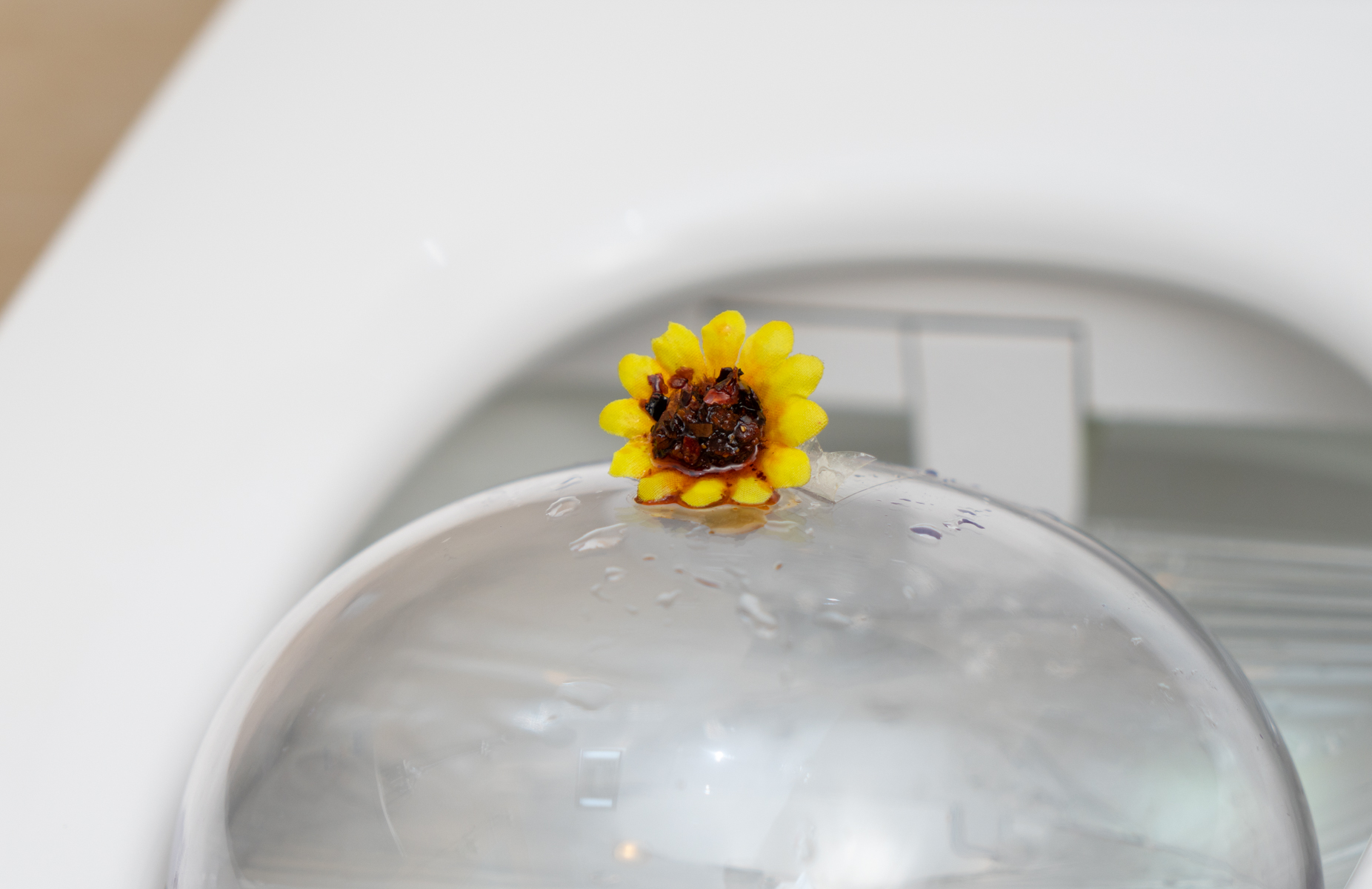 恒洁智能马桶使用后真实感受,恒洁智能马桶的正确使用方法