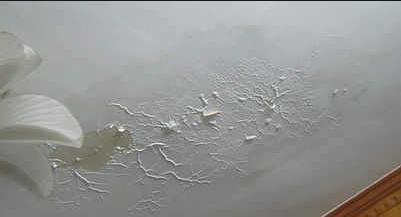 高温天气霉菌怎么处理,南方回南天除湿除霉