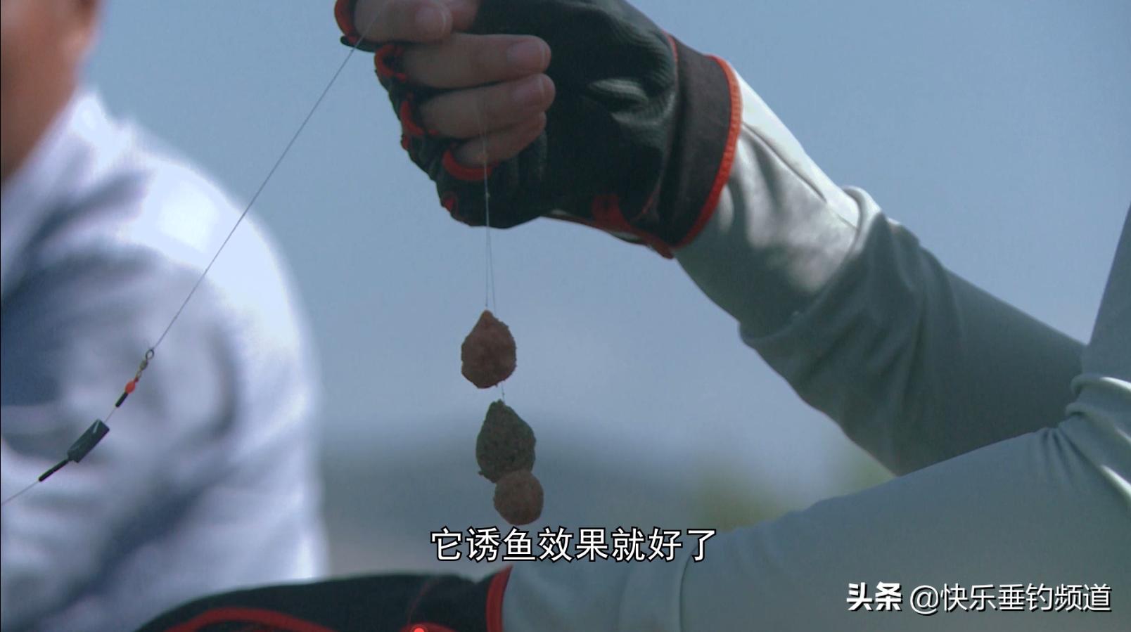 怎样用台钓的方法钓鲻鱼,钓鲻鱼做法