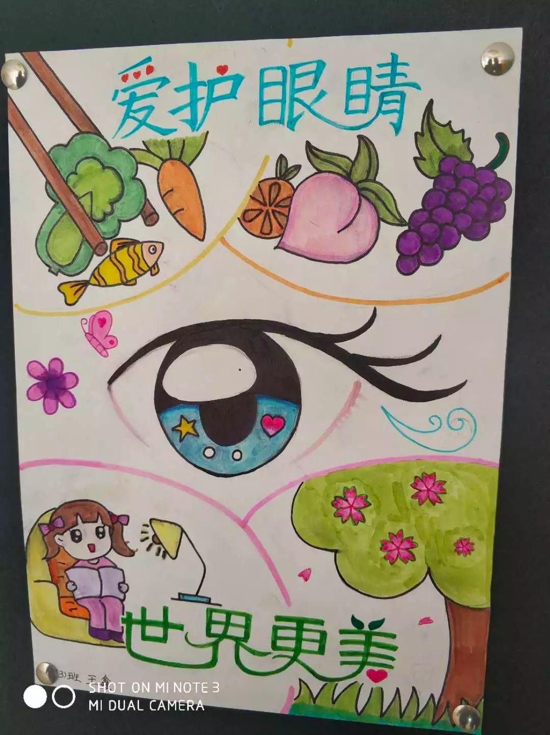 爱眼护眼从我做起作品简介,爱眼护眼从我做起