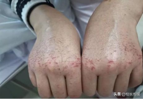 疫情期间孩子在校家长对孩子寄语,老师给孩子讲解疫情的话