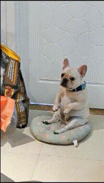 捡到了u盘里面会有什么,捡到一个u盘还好没有用