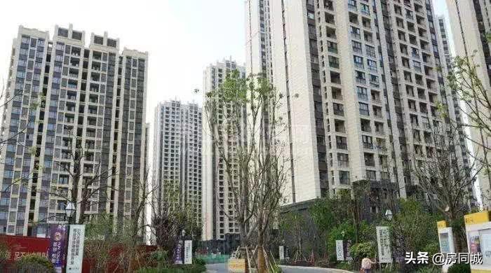 昆山企业信用等级认证费用,2022开发商信用评级排名