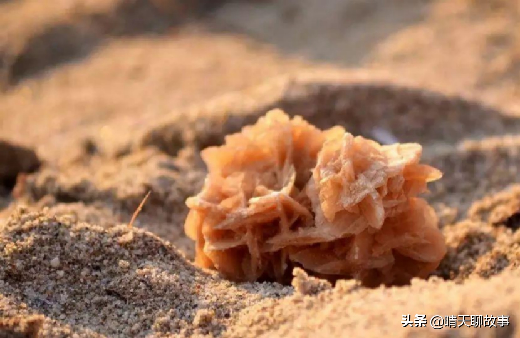 在沙漠里捡石头,沙漠有石头为什么要捡