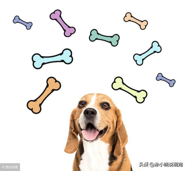 狗狗老是舔脚并且红肿了怎么回事,狗狗老舔爪子发红是趾间炎