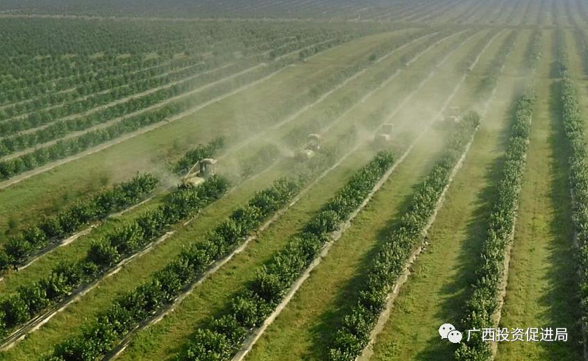 嫽扎咧！携手西部陆海新通道桂陕合作再谱新篇章——自治区投资促进局组队赴陕西开展“民企入桂”精准招商