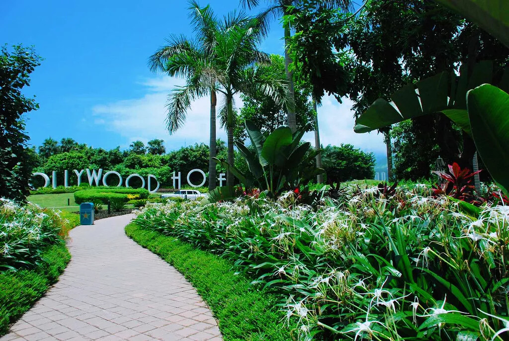 香港迪士尼好莱坞酒店问题,香港迪士尼好莱坞酒店为什么便宜