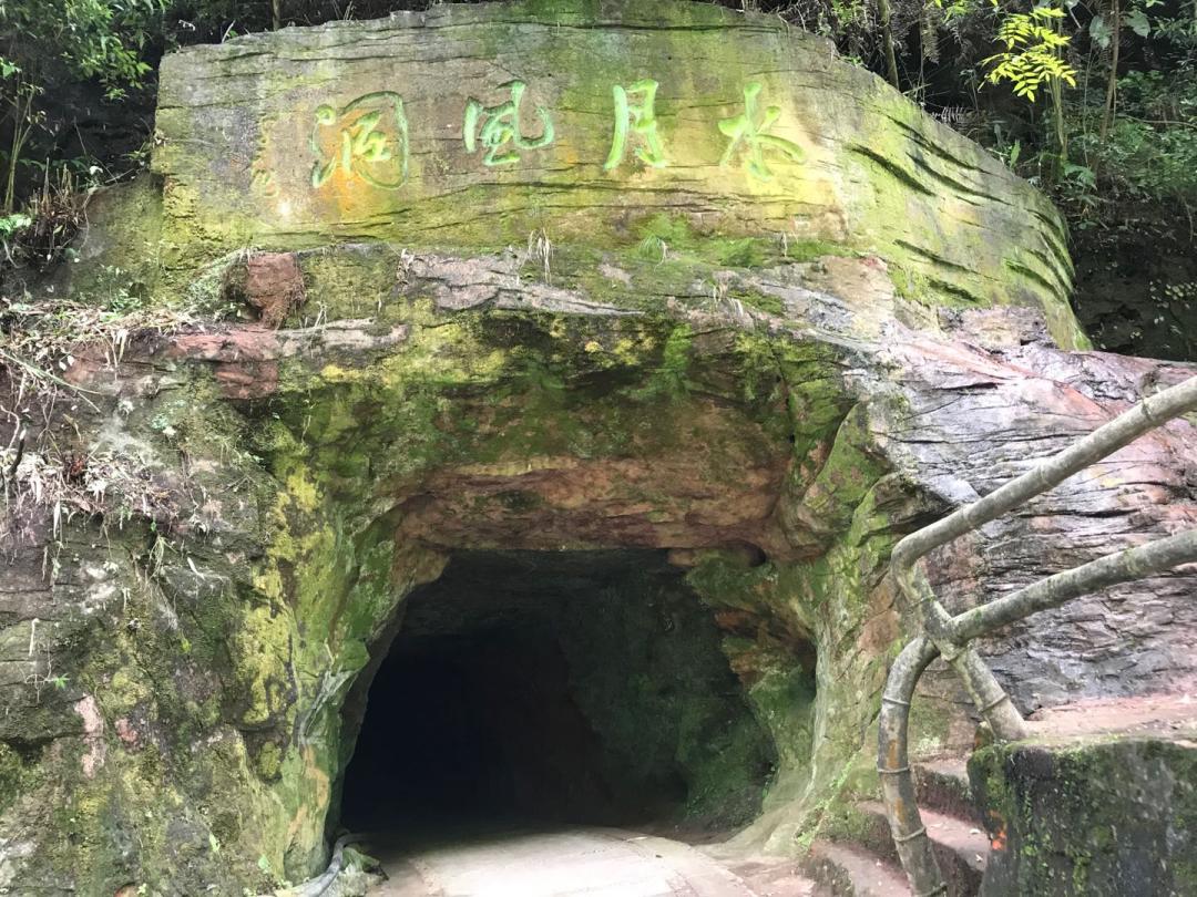 游沐川竹海,沐川周末游