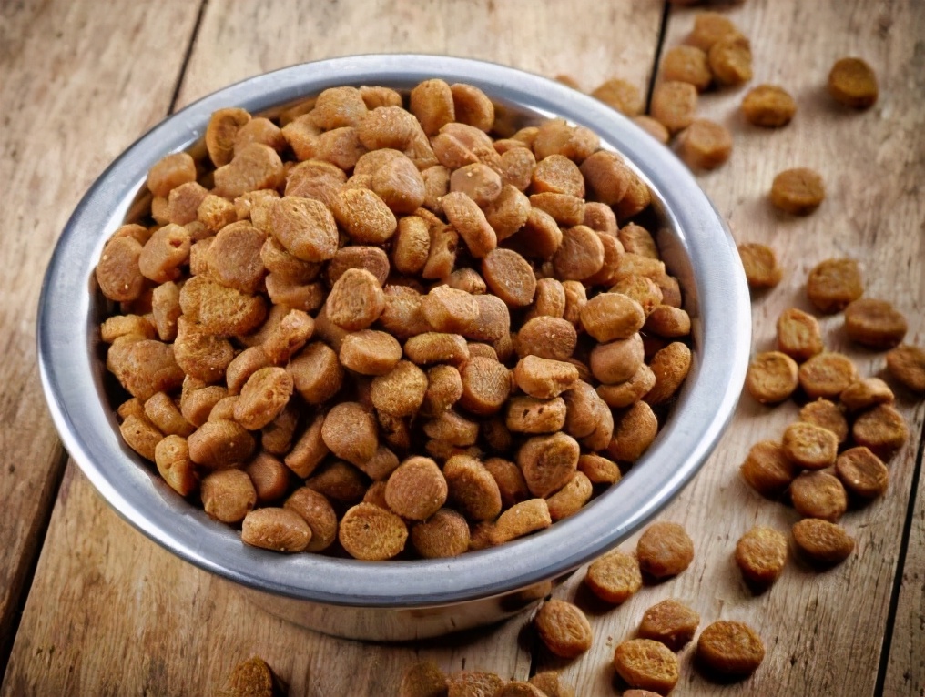 三个月柯基吃多少狗粮,柯基狗粮什么牌子好还便宜