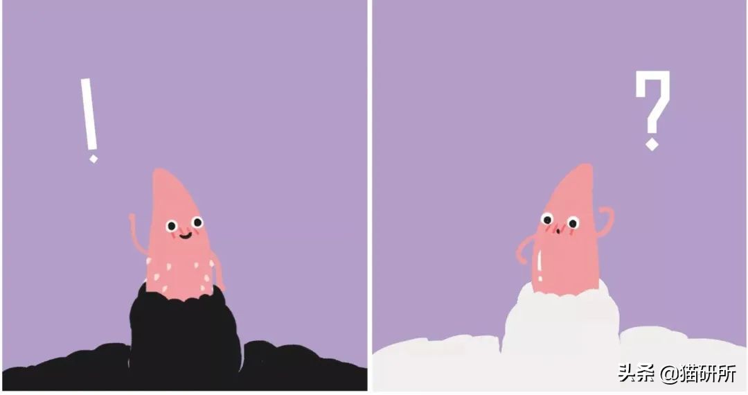 8个猫咪「性」的冷知识，务必背着主子看