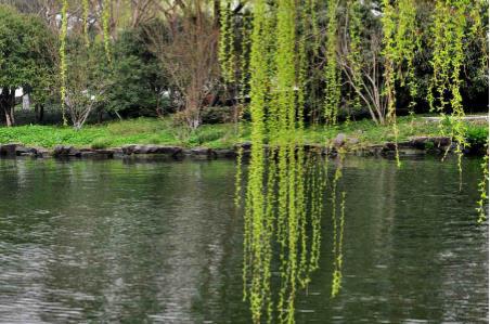 杭州度假游玩美食,杭州有什么好吃的地方特色美食