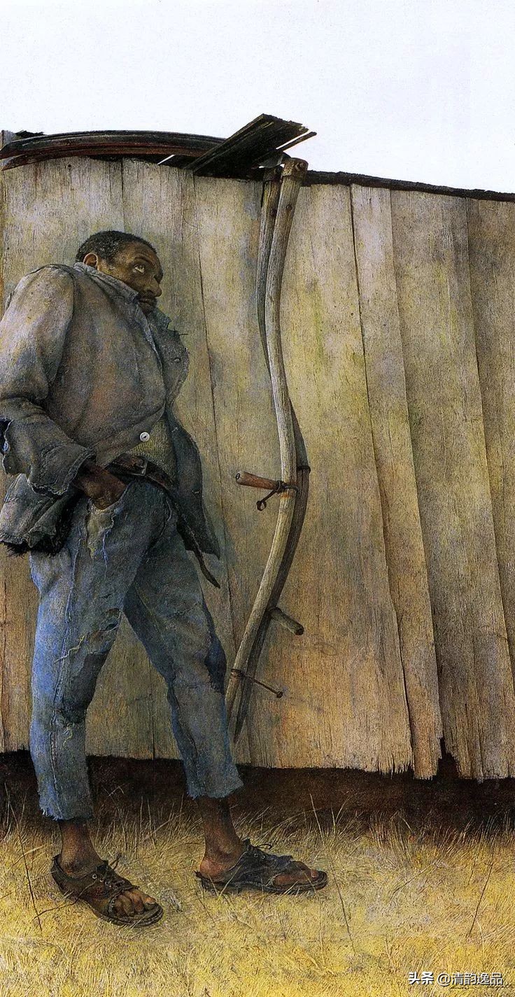 类似安德鲁怀斯的画家,安德鲁怀斯画家视频