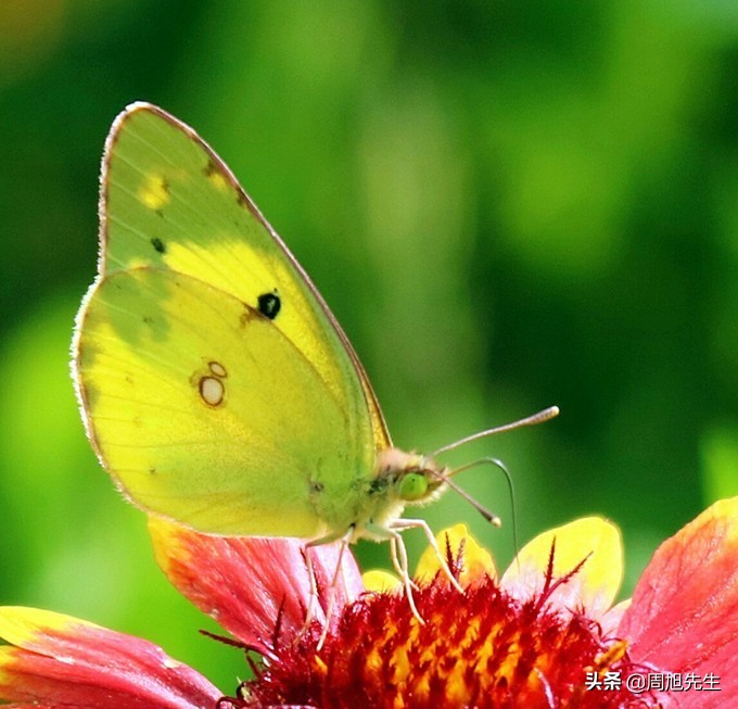盛京3天深度自驾游好去处推荐,盛京游记