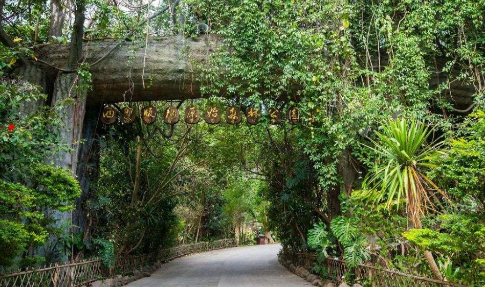 美丽的西双版纳的泼水节视频,西双版纳的泼水节中的傣妹