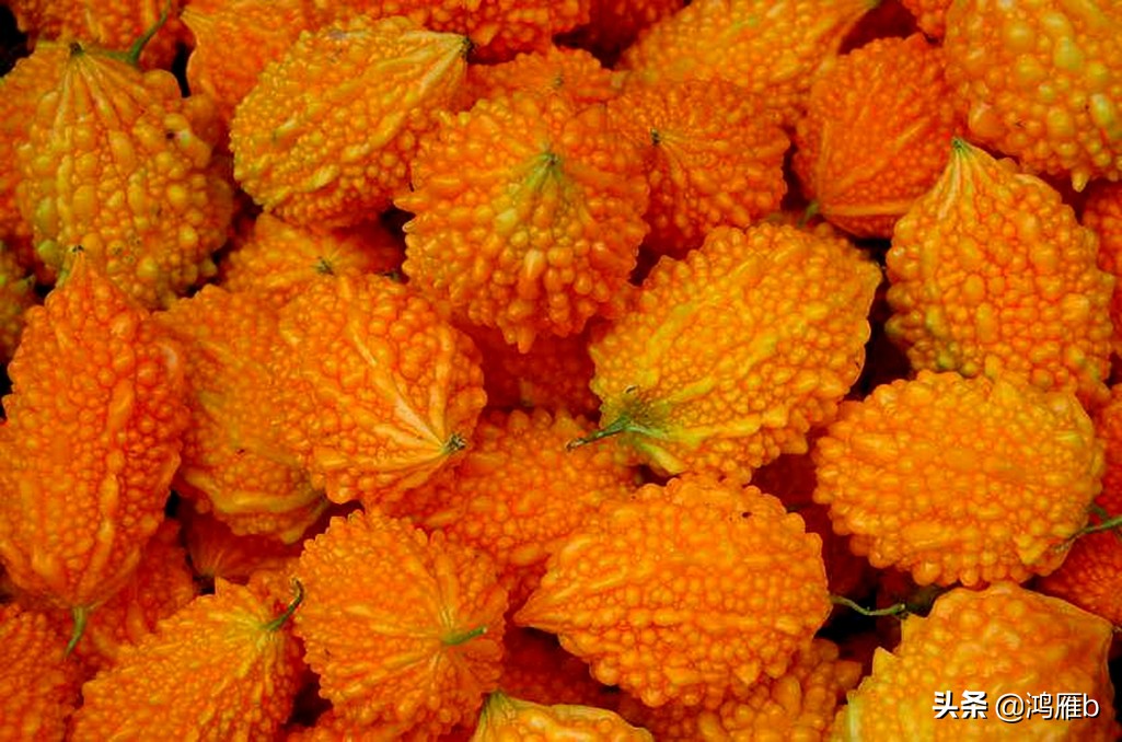 您认识这是什么,能叫出它的名字吗?